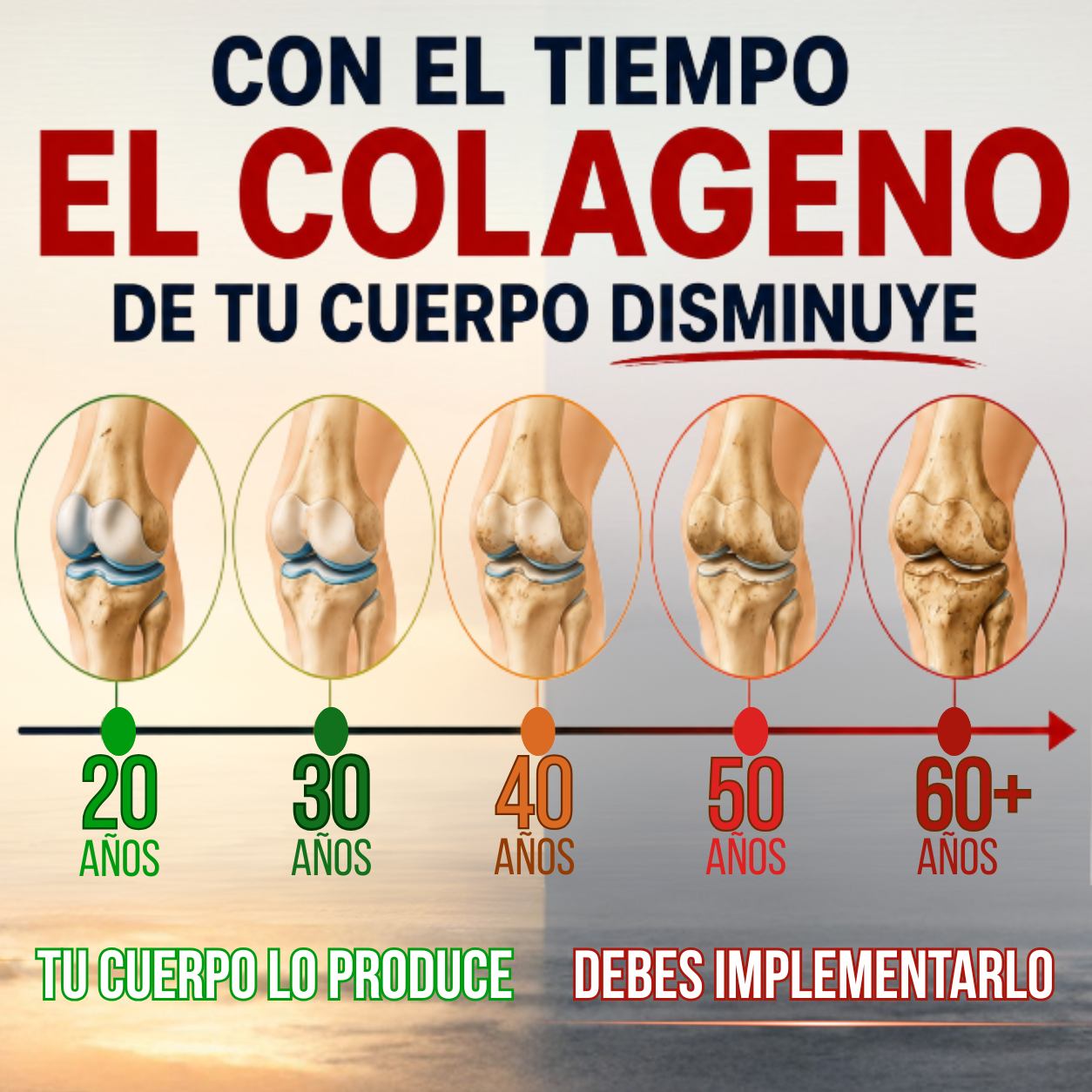 Todo lo que tu cuerpo necesita: Colágeno Premium en cápsulas.